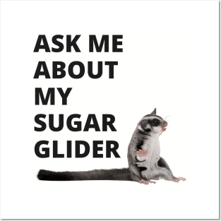 SUGAR GLIDER Posters and Art